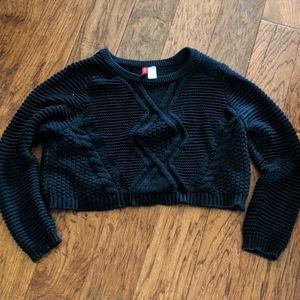 3 for $30 H&M- Cropped sweater